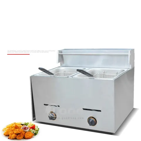 Commercial Countertop Stainless Steel Deep Fryer Double Tank LPG Gas High Productivity for Food Cart Used Condition
